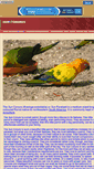 Mobile Screenshot of parrots.and.poodles.myeweb.net